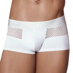 Boxer Court Urge Blanc