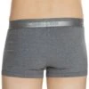 Boxer H01 Gris