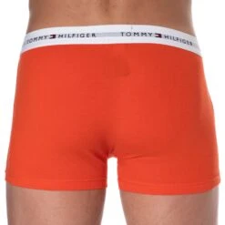 Boxer Icons Ceinture Logo Rouge -Boutique De Sous-vêtements boxer icons ceinture logo rouge tommy hilfiger 2