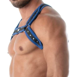 Harnais Bulldog Neoprene Noir - Bleu