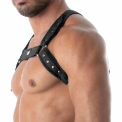 Harnais Bulldog Neoprene Noir