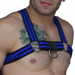 Harnais Voyeur Bleu 5 Harnais Voyeur Bleu -Boutique De Sous-vêtements harnais voyeur bleu breedwell 2