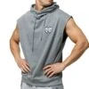 Hoodie Zaiden Gris