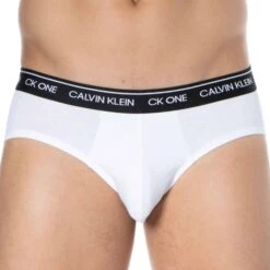 Lot De 2 Slips Ck One Coton Blancs