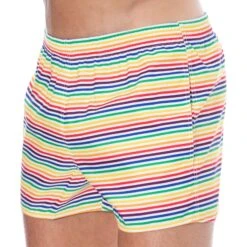 Short De Bain Rainbow Stripes Multicolore