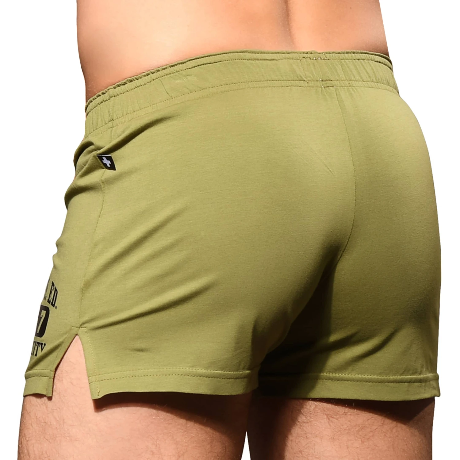 Short Phys. Ed. Varsity Olive 3 Short Phys. Ed. Varsity Olive – Image 3