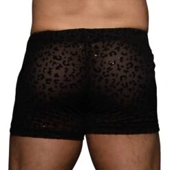 Short Sheer Glitter Léopard Noir 8 Short Sheer Glitter Léopard Noir -Boutique De Sous-vêtements short sheer glitter leopard noir andrew christian 3