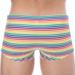 Shorty De Bain Rainbow Stripes Multicolore 5 Shorty De Bain Rainbow Stripes Multicolore -Boutique De Sous-vêtements shorty de bain rainbow stripes multicolore sweet banana 2